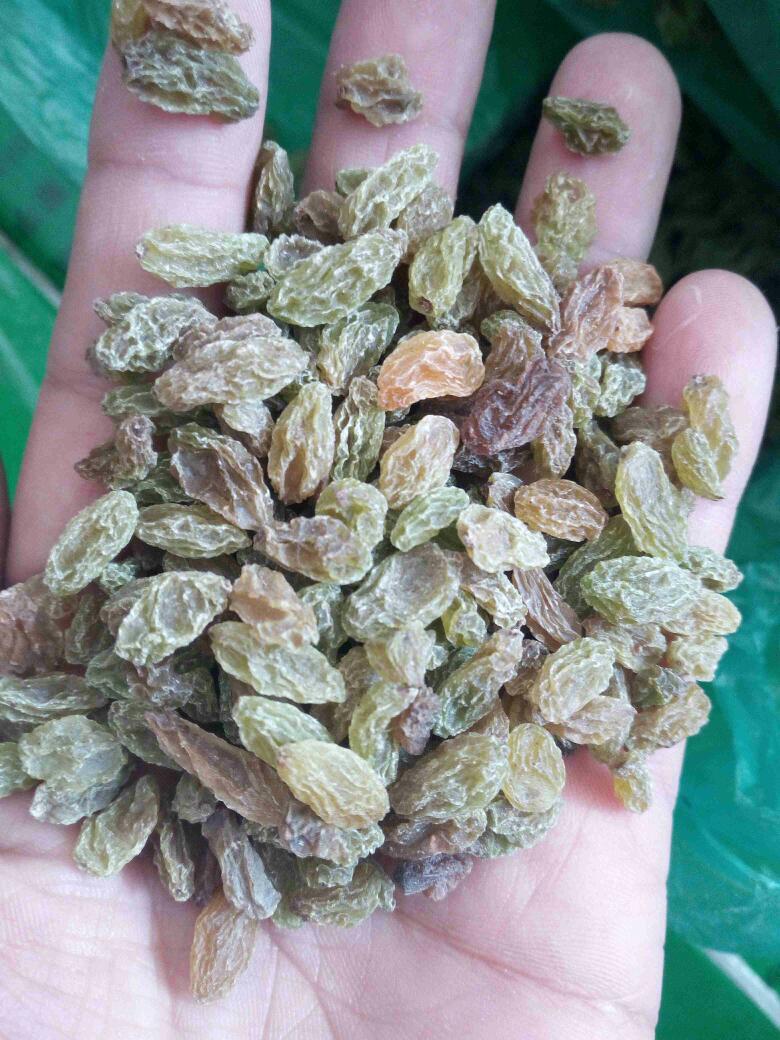 4斤小珍珠葡萄干八宝粥原料