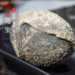 批发冷背中药材优质马宝 马粪石 马结石 名贵中药材 量大从优