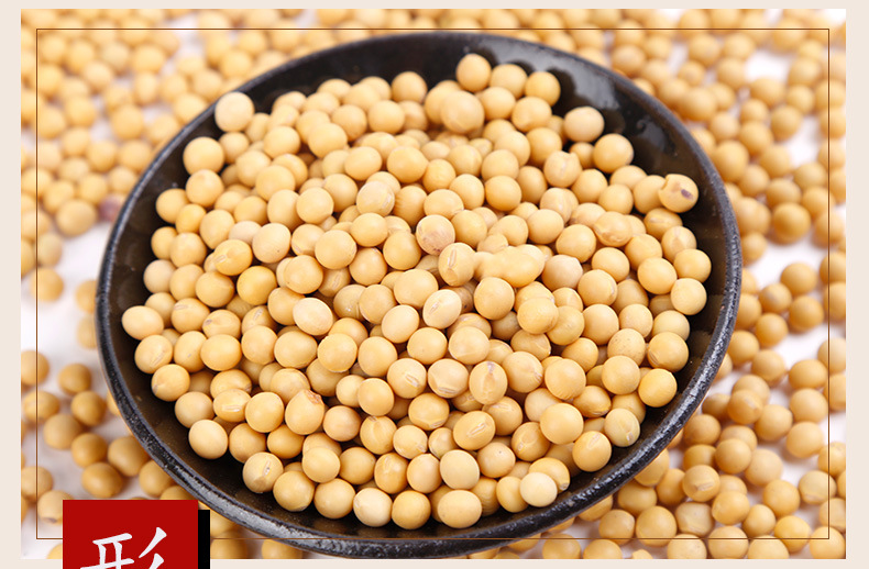 东北优质大粒黄豆 五谷杂粮特产黄豆 打豆浆一件代发