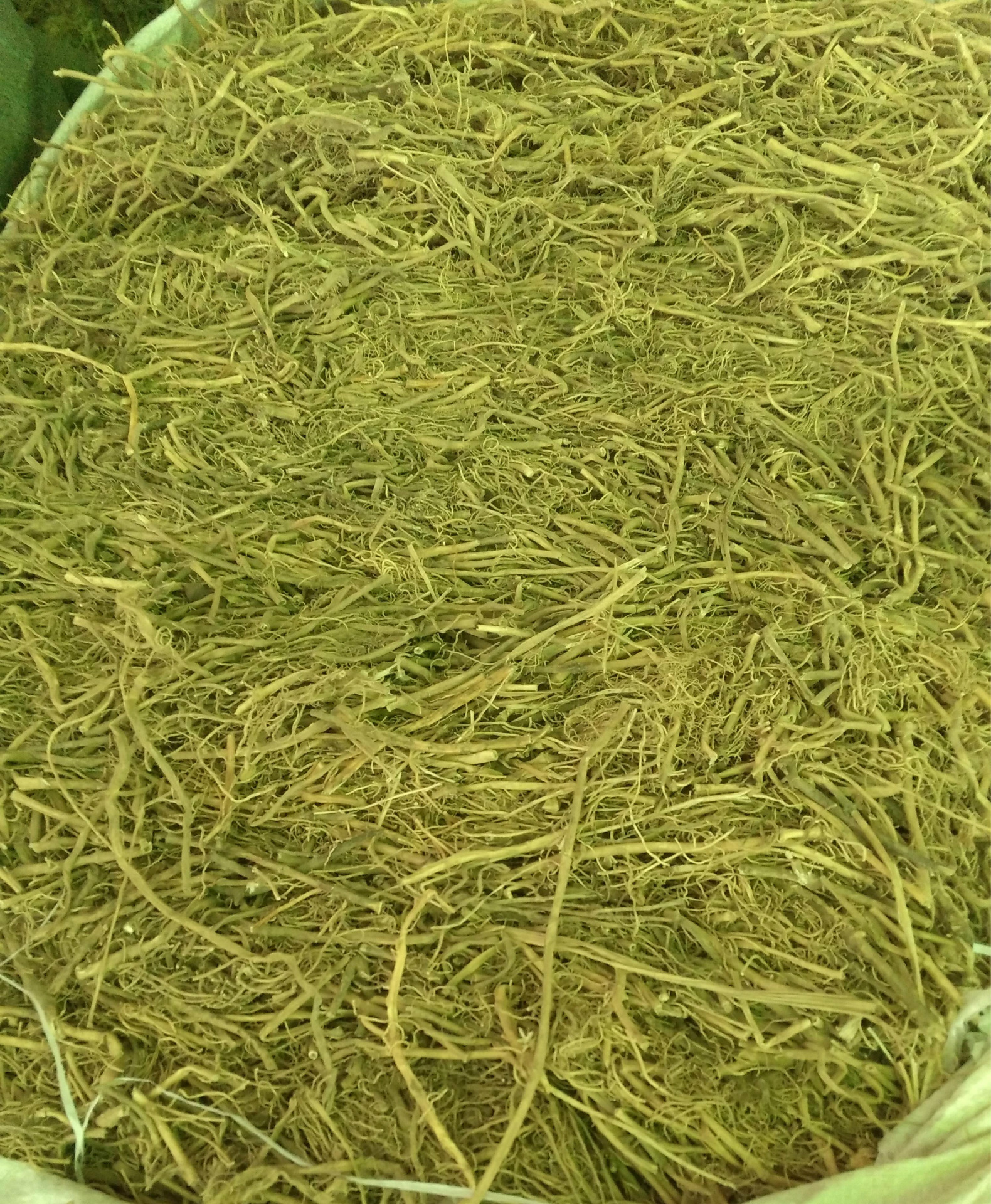 批发供应白前 水洗白前 水杨柳 草白前 量大价优