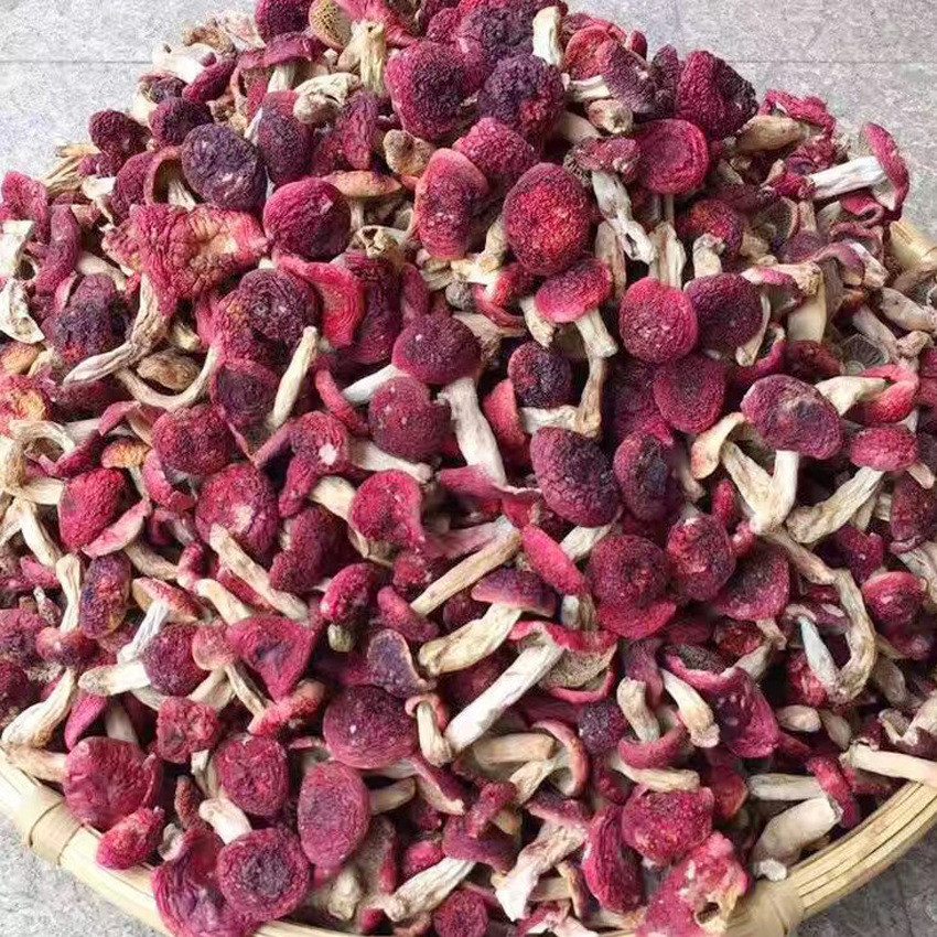 精装自然生长 正红菇大红菌 福建食用菌 土特产干货250g