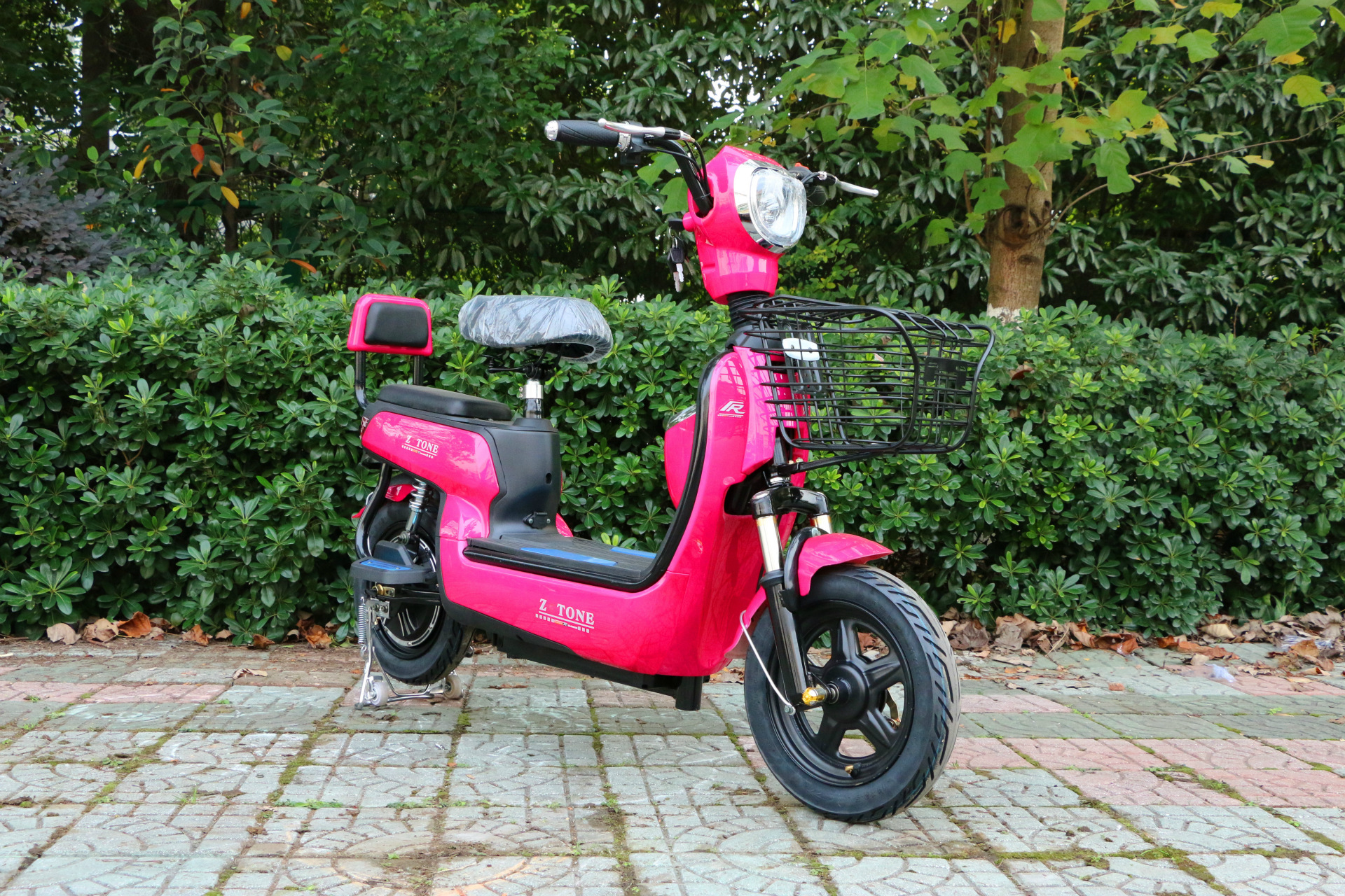 朗动电动车电瓶车新款电动自行车迷你小型成人学生电动车48v