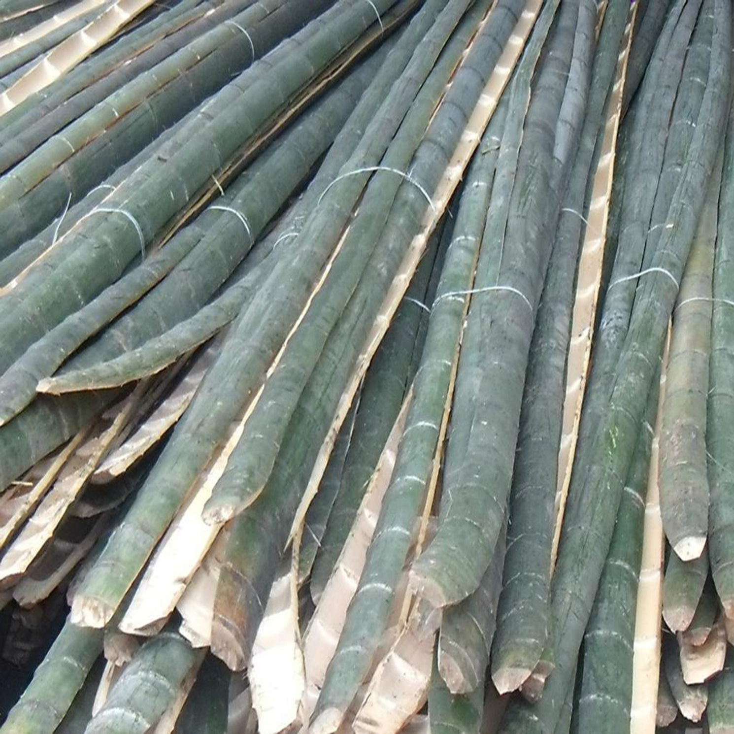 厂家供应毛竹片 楠竹片 搭菜架棚 建筑工地用 6米长小头2公分竹片