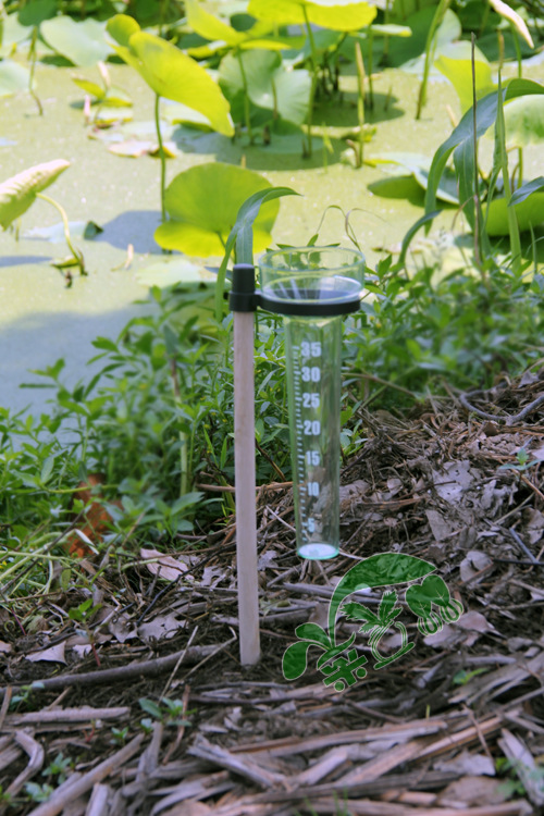 园林室外单式量雨器 雨量观测记录 小木棍随处可插 农技员工具