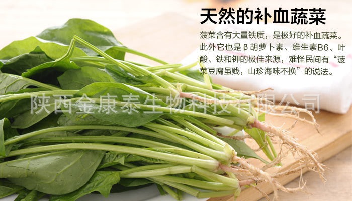 高杆菠菜营养图片