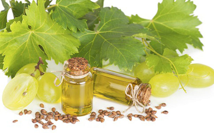 美容院化妆品原料按摩油基底油 手工皂用精油基础油葡萄籽油