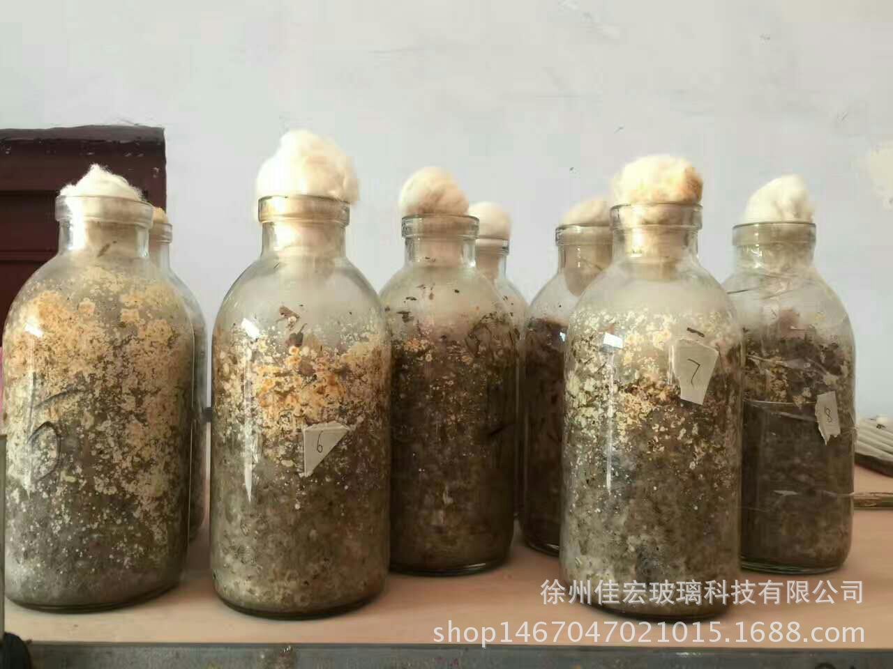 厂家直销菌种玻璃瓶750ml菌种玻璃瓶组培瓶蘑菇菌种瓶食用菌瓶