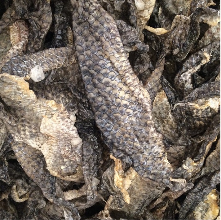 批发罗非鱼皮酒店专用鱼皮水发鱼皮生鱼皮干鱼皮泡椒鱼皮原料