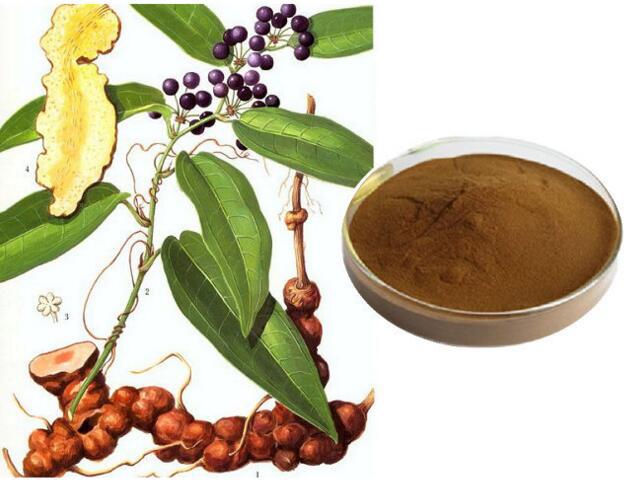 拔葜提取物 10:1 金刚藤提取物 现货包邮