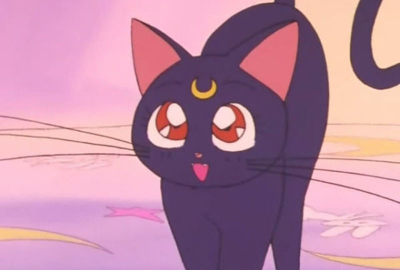 正版动漫周边美少女战士露娜猫变身器折叠化妆镜迷你小镜子卡通