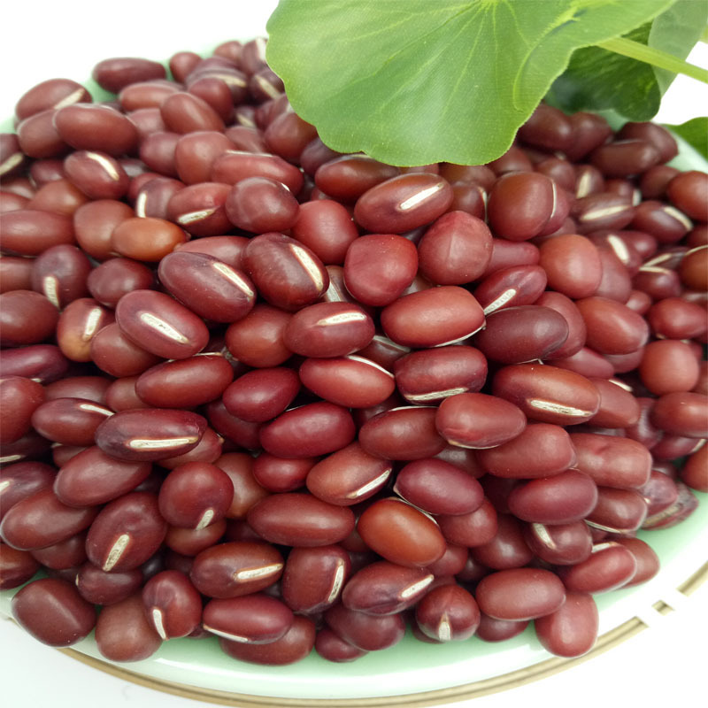 供应杂粮 五谷杂粮 红豆批发 2017年新货红饭豆红豆 散装红小豆