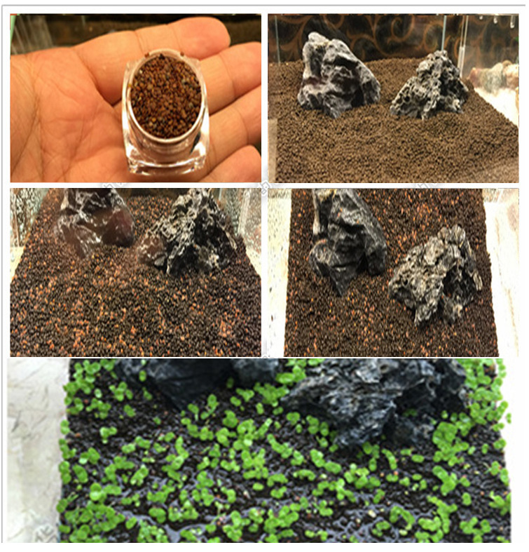 每包可种植60*30cm的面积产品名称:迷你对叶速成水草种子======产品