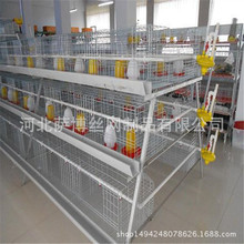 厂家供应H型肉鸡笼镀锌鸡笼子立体式养殖鸡笼笼具设备