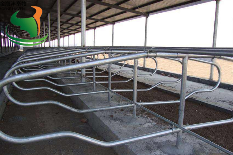 牛卧床的结构特点及优势介绍