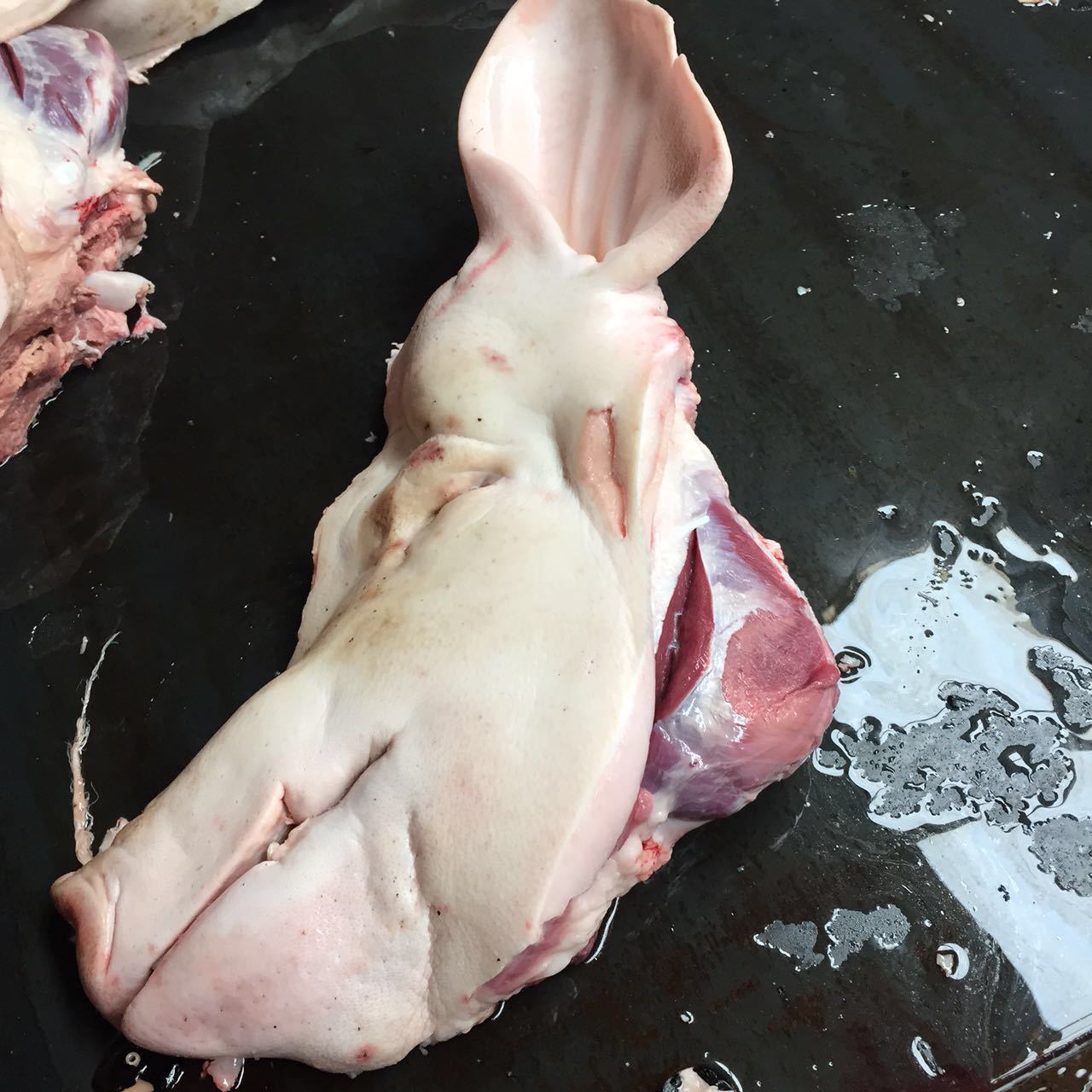 现货批发临沂冷冻生猪头 冷冻猪头肉猪副产品猪头 冷冻食材猪头