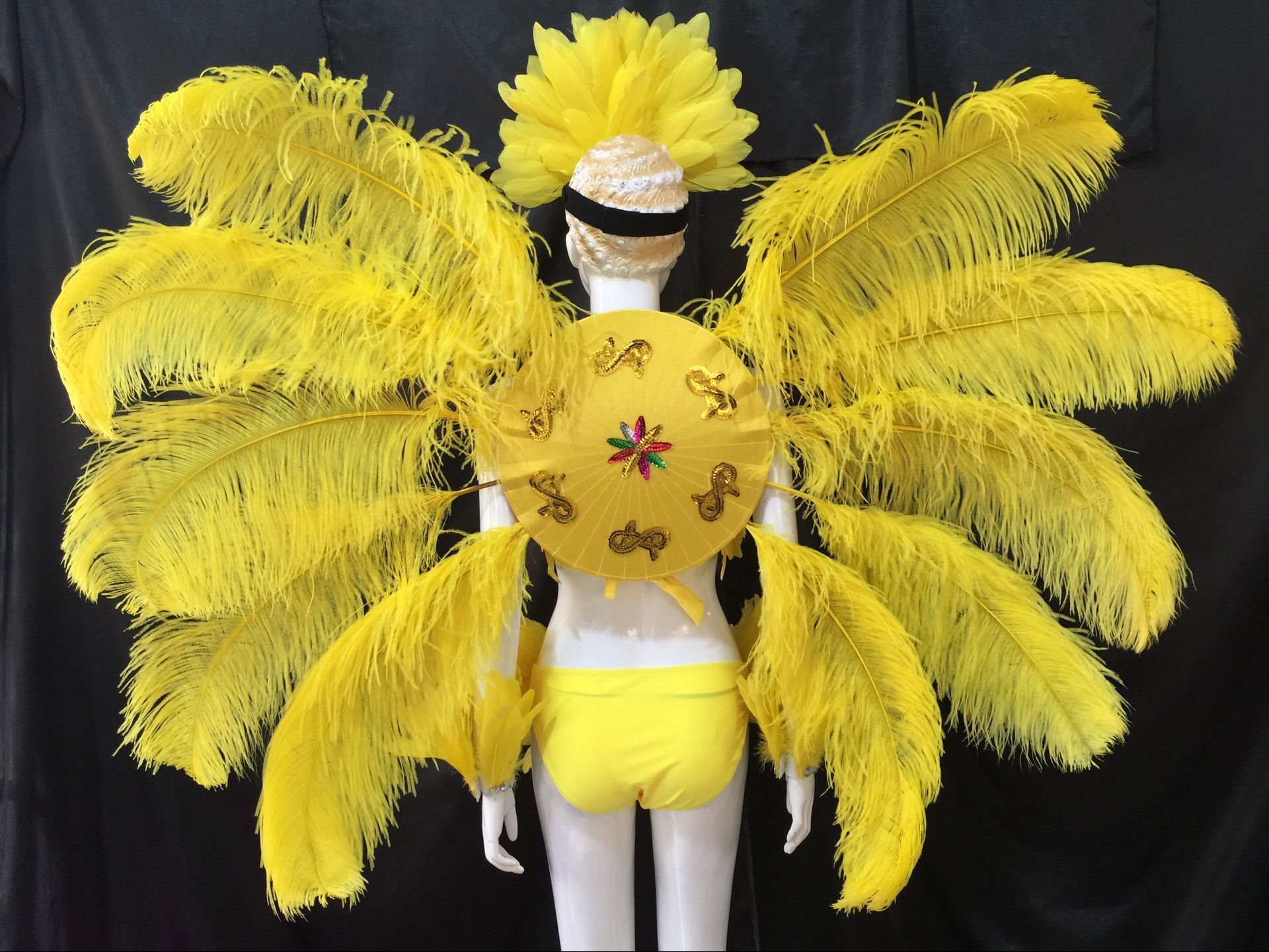 羽毛开场舞队舞台演出服饰 桑巴舞蹈服装 套装 鸵鸟毛背板 头饰