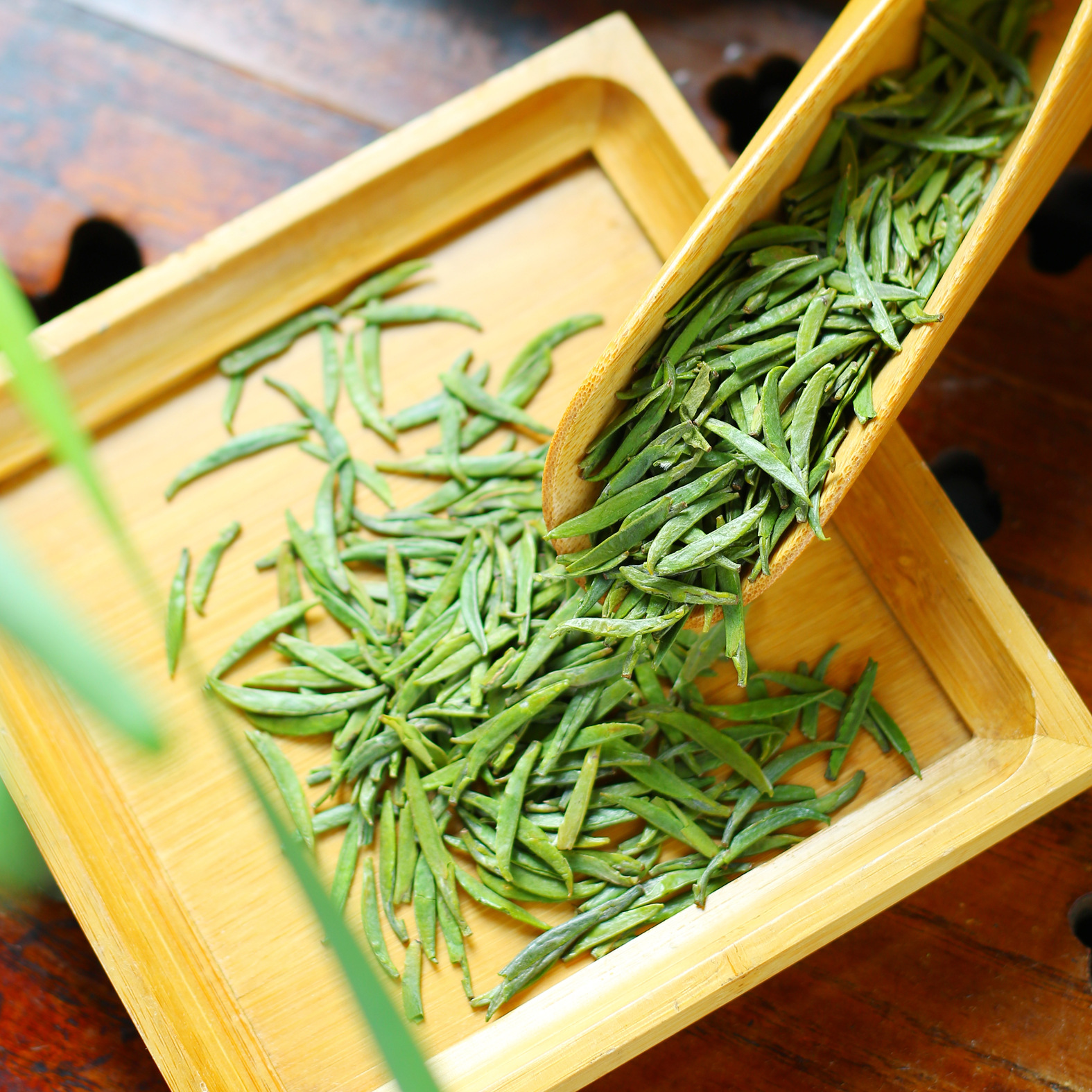 2018散装茶叶批发竹叶型青茶蒙顶石花绿茶峨眉山早春雀舌131品种