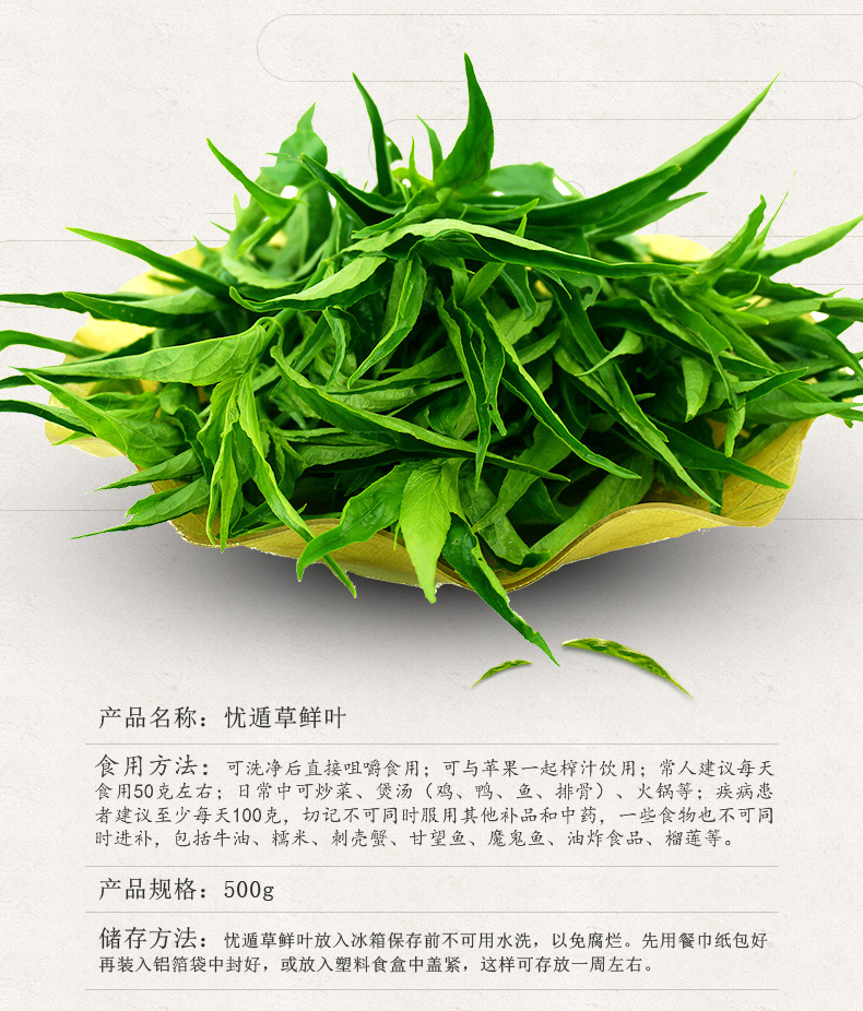 厂家直销供应 海南 黎宝忧遁草 五指山保健茶养生茶鳄嘴花茶.