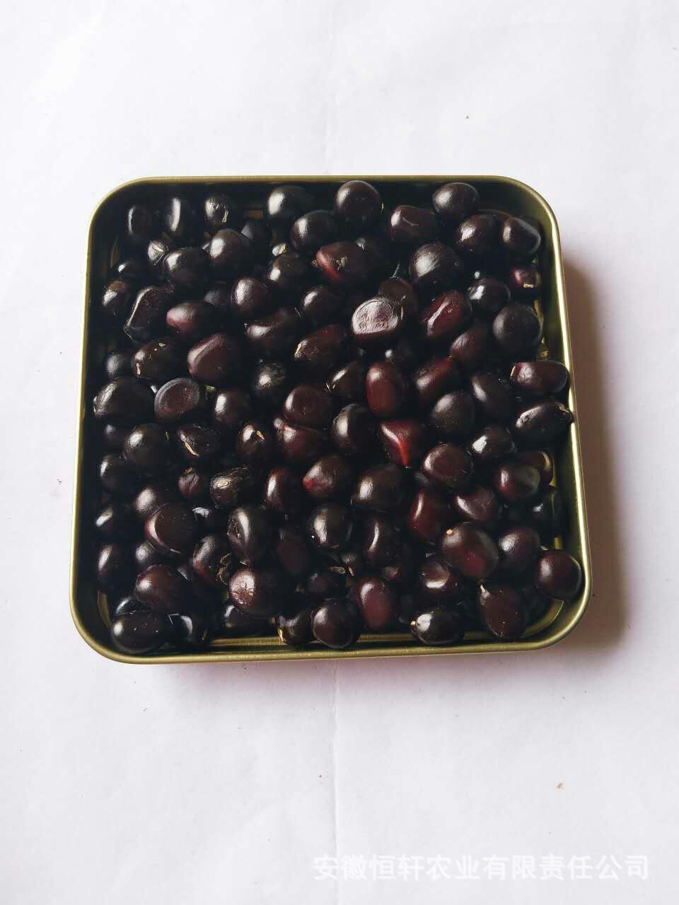 批发榨油牡丹种子优质凤丹籽油料牡丹籽牡丹种子价格油用牡丹种子