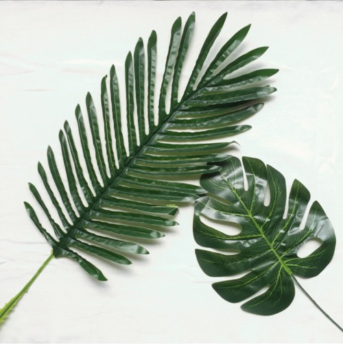 仿真椰子叶 凤尾葵叶仿真绿植仿真树叶假树开业花篮插花 配件装饰