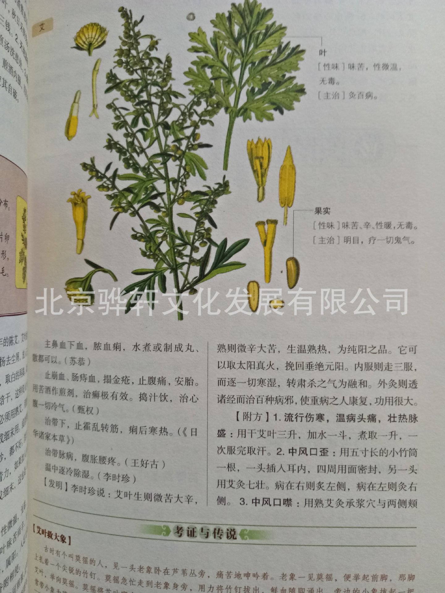 正版图解《本草纲目》全彩插图 李时珍中医中药学 保健养生书籍