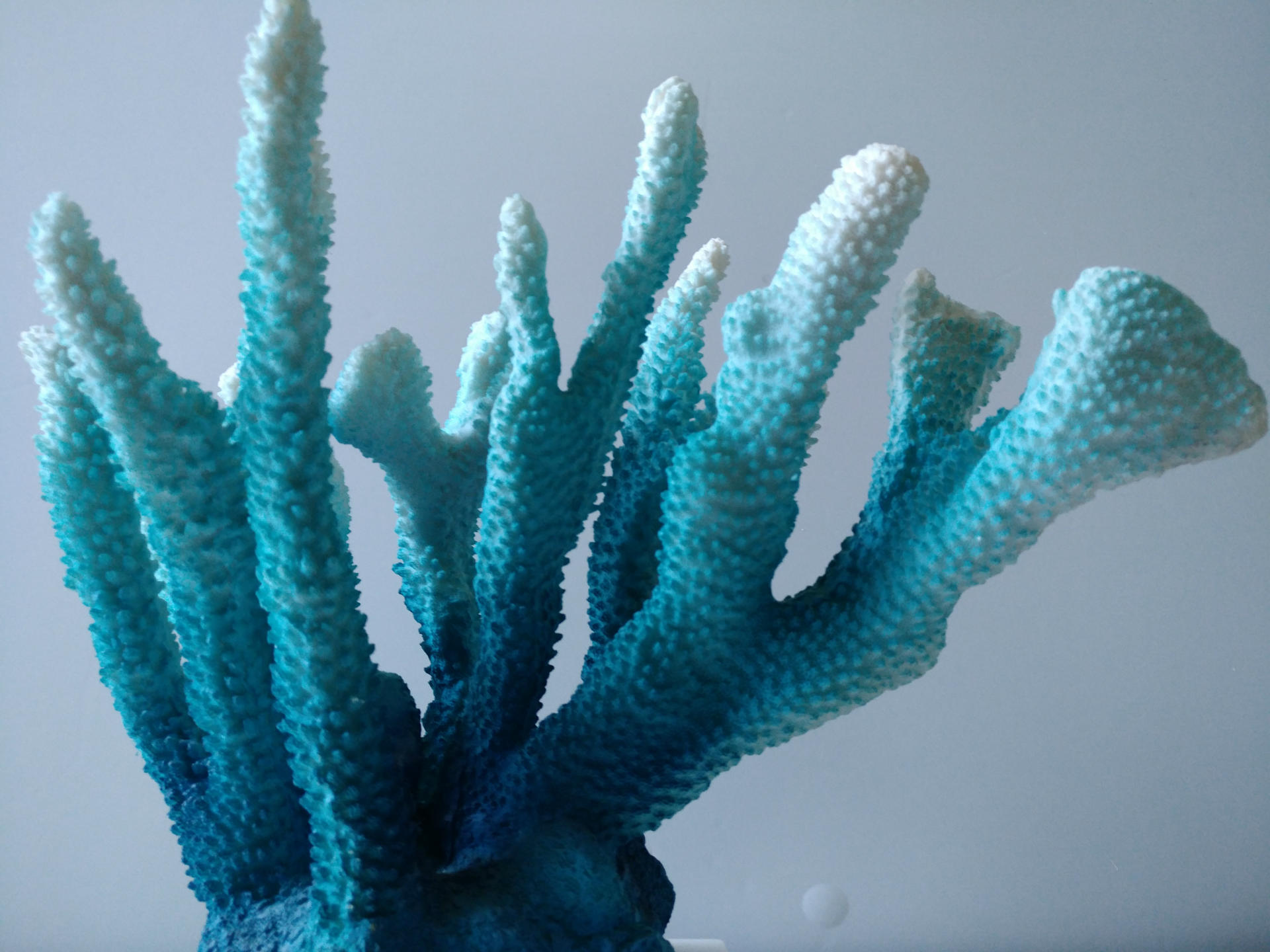 批发创意树脂工艺品海洋珊瑚现代简约玄关客厅书房家居摆件