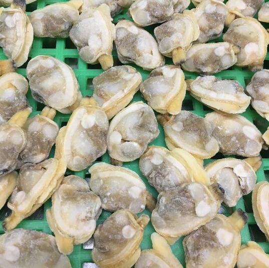 冻煮杂色蛤肉花甲肉沙蚬子肉出口品质无沙东港原产地直供