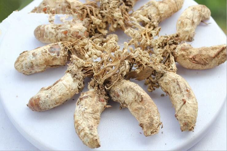 金蝉花中药材 一斤 蝉花知了花 新货中药材蝉花虫草蝉蛹草