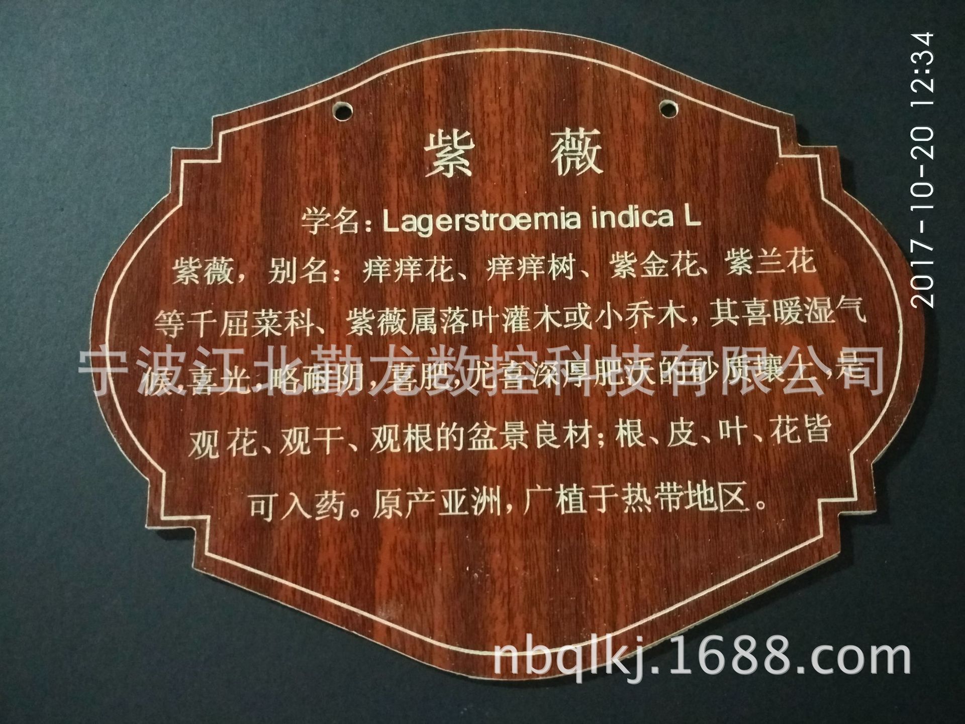 厂家直销校园树木挂牌,植树节树牌-阿里巴巴