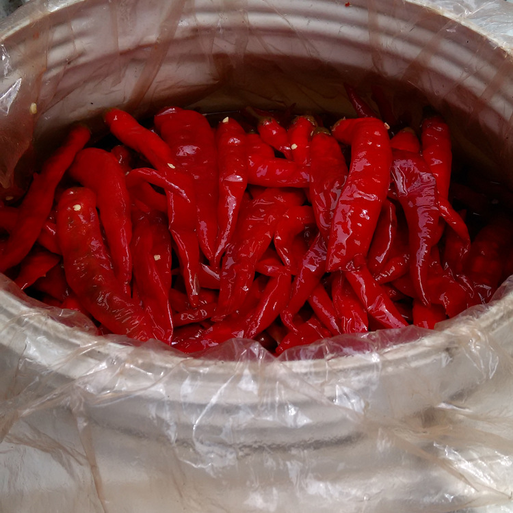 四川泡辣椒泡二荆条海椒30kg泡红椒中餐火锅泡椒酱腌菜散装批发
