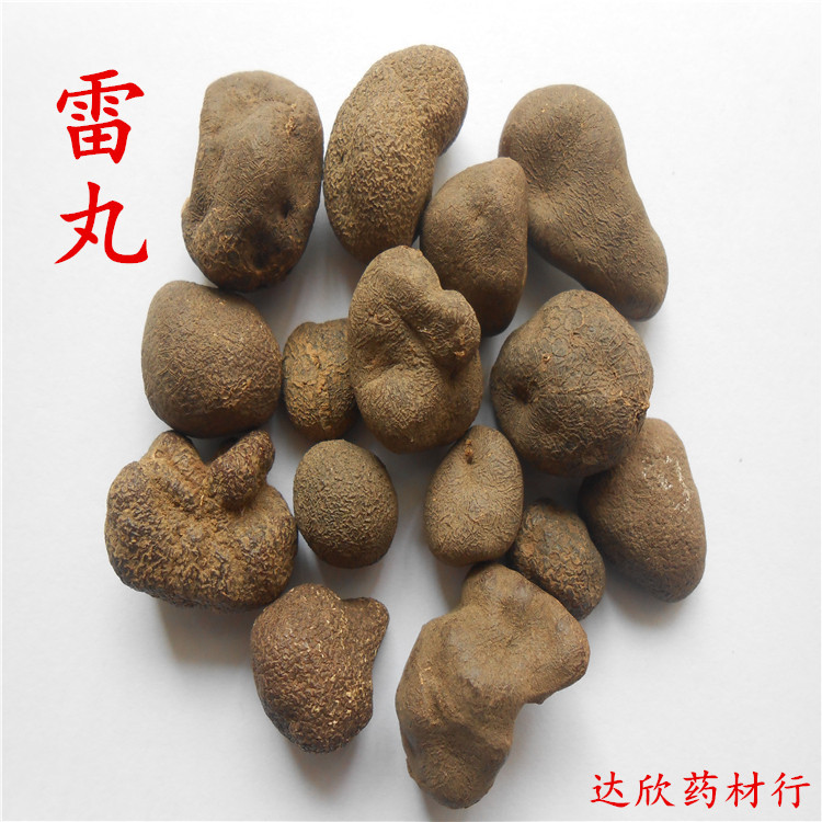 达欣批发供应冷背中药材雷丸