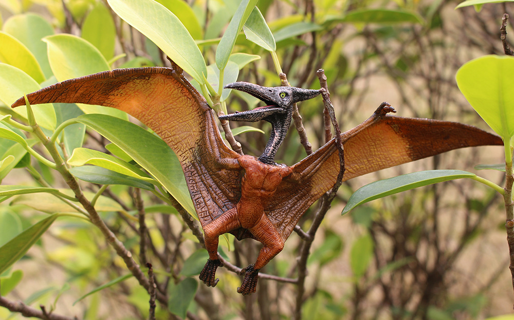 23cm 仿真恐龙模型 实心pvc翼龙 飞龙 飞翼龙翼手龙 静态模型玩具