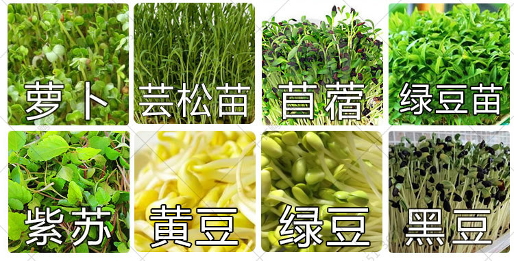 芽苗菜益生菌