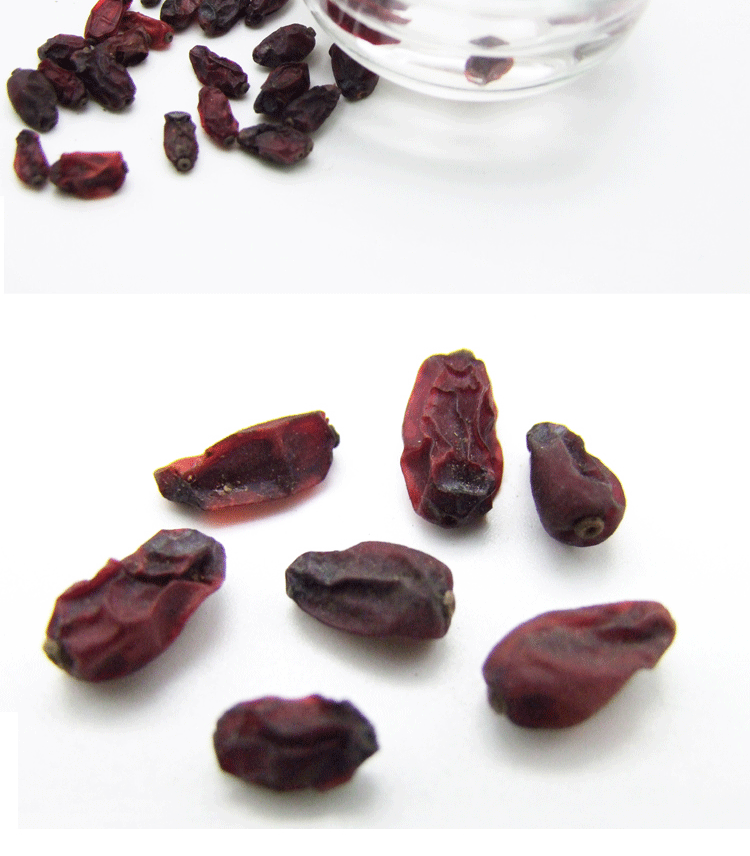 供应三棵-针果实狗奶果批发东北野枸杞长白山野生枸杞狗奶子果