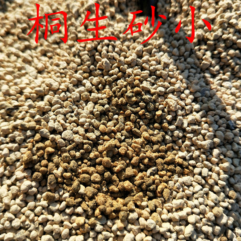 8823 桐生砂 小1-3mm 多肉植物铺面土 多肉植物种植颗粒土种植土