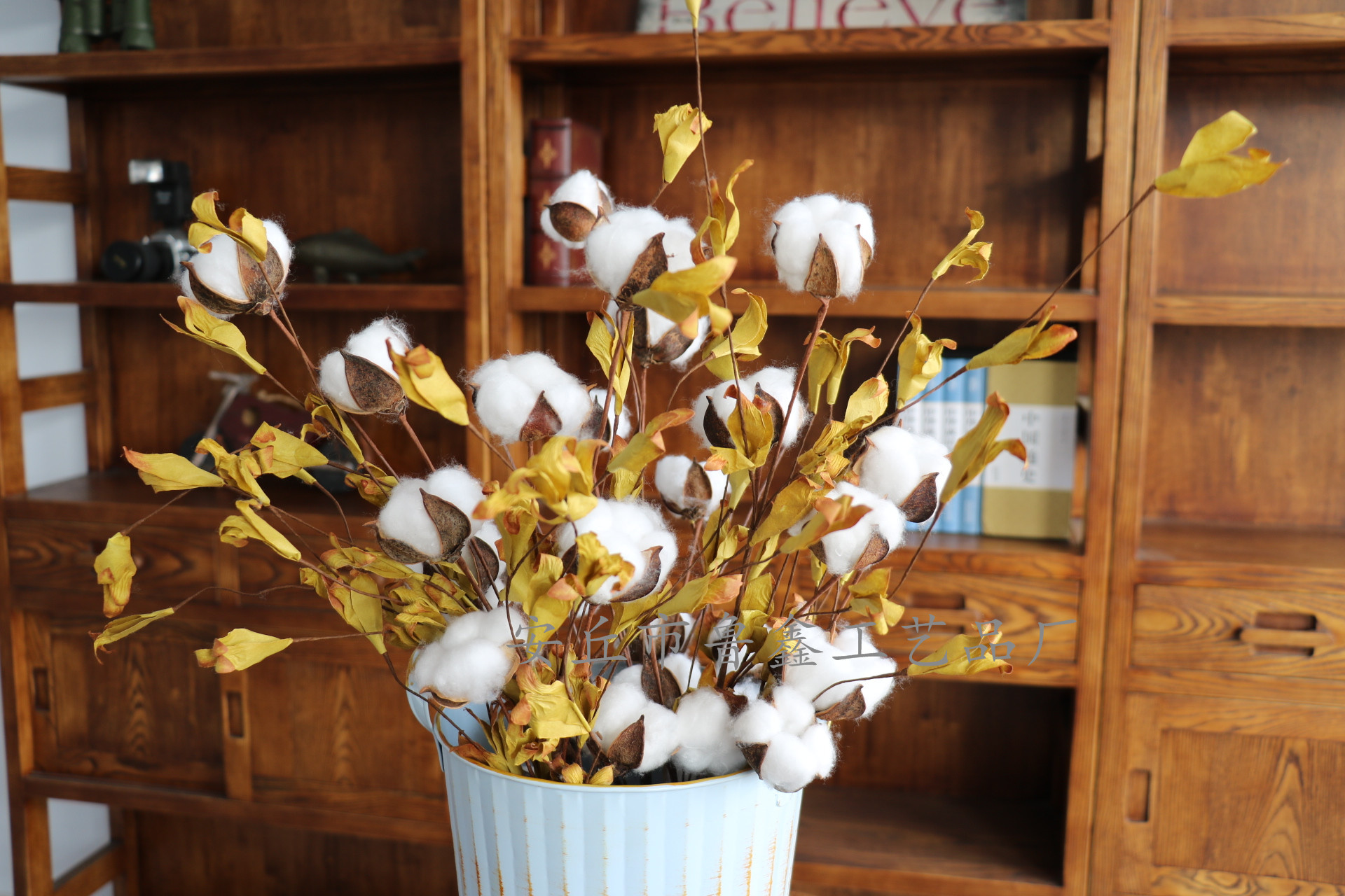 工厂批发干花棉花 棉花束 多头棉花支 6头棉花束 家居装饰棉花