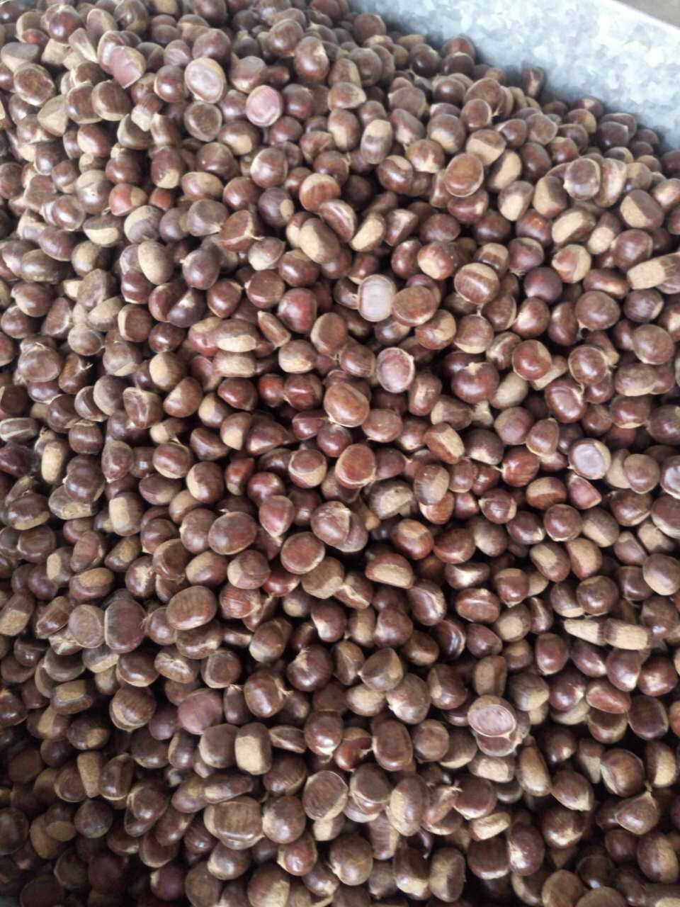 批发陕西 神农架野板栗种子 野生毛栗子 长城野生栗 板栗子种子