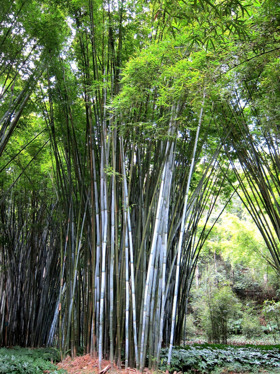 手工生产加工制作流程