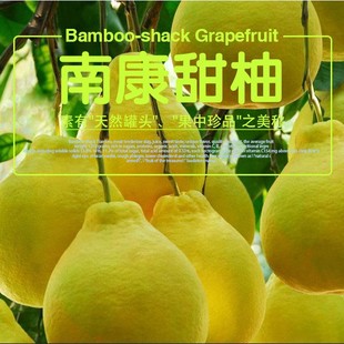 20斤正宗赣南斋婆柚江西特产新鲜喵生鲜当季时令水果柚子南康甜柚