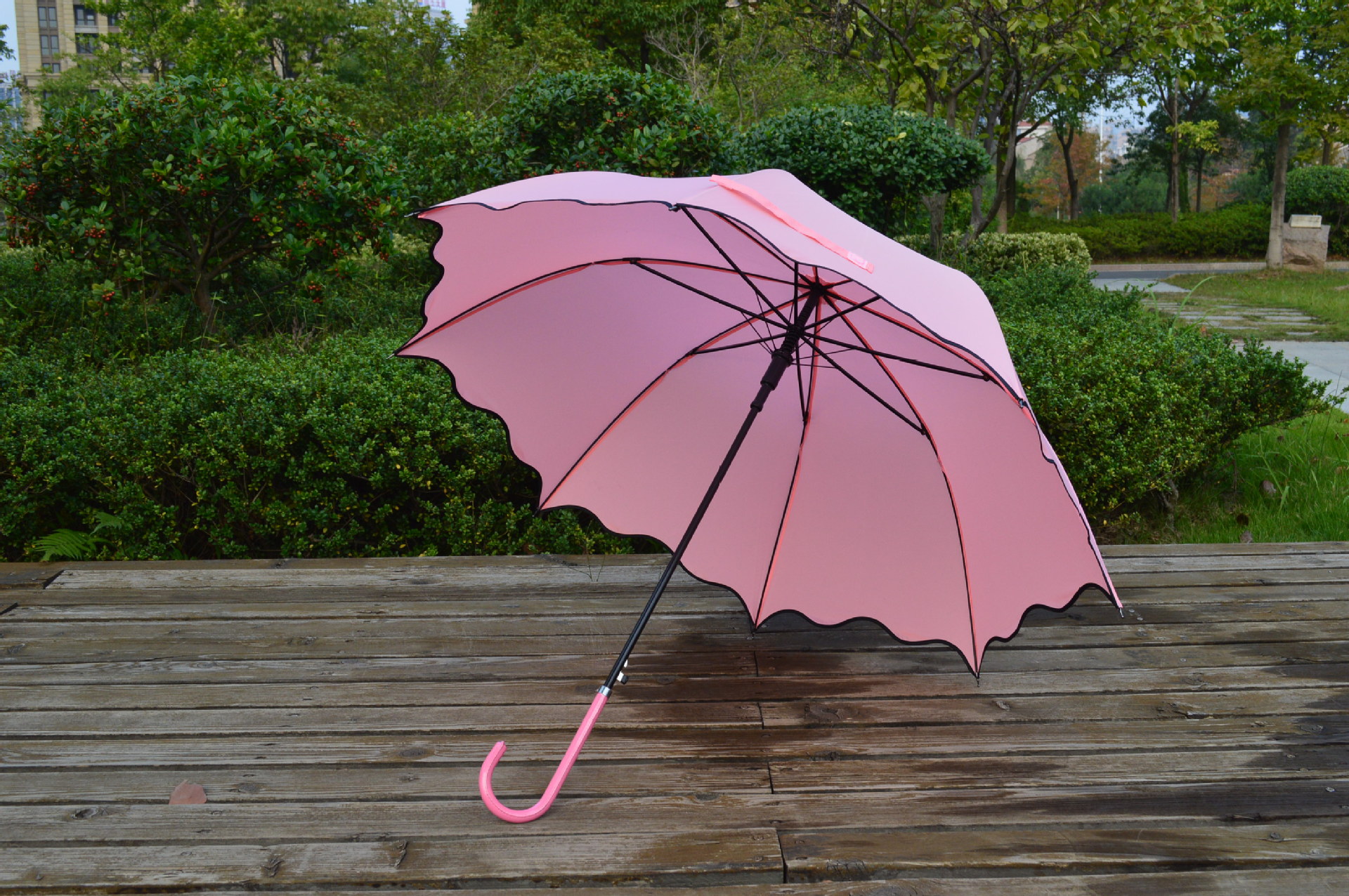 大红新娘伞时尚热销阿波罗荷叶边遇水开花直杆雨伞长柄广告雨伞