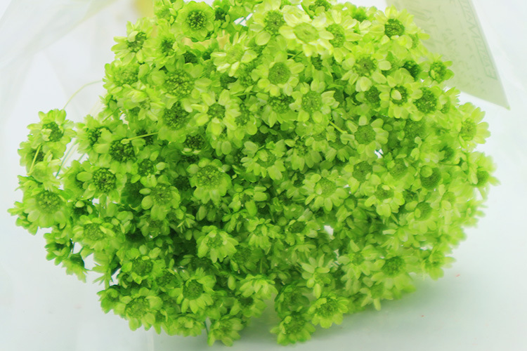 小星花永生花花材520情人节生日创意礼物送女友闺蜜厂家批发