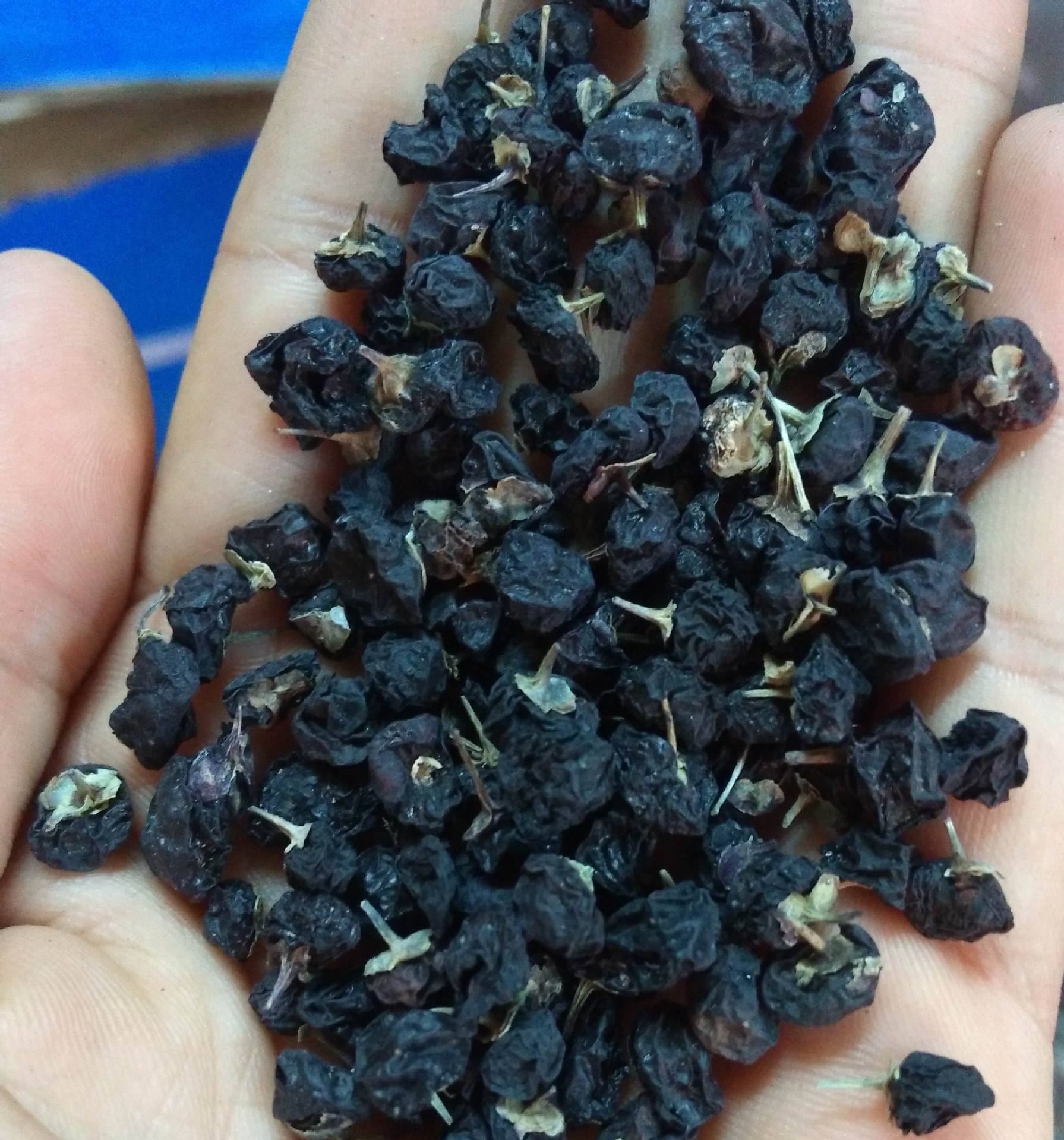 茄科,枸杞属多棘刺灌木,多分枝;分枝斜升或横卧于地面,白色或灰白色