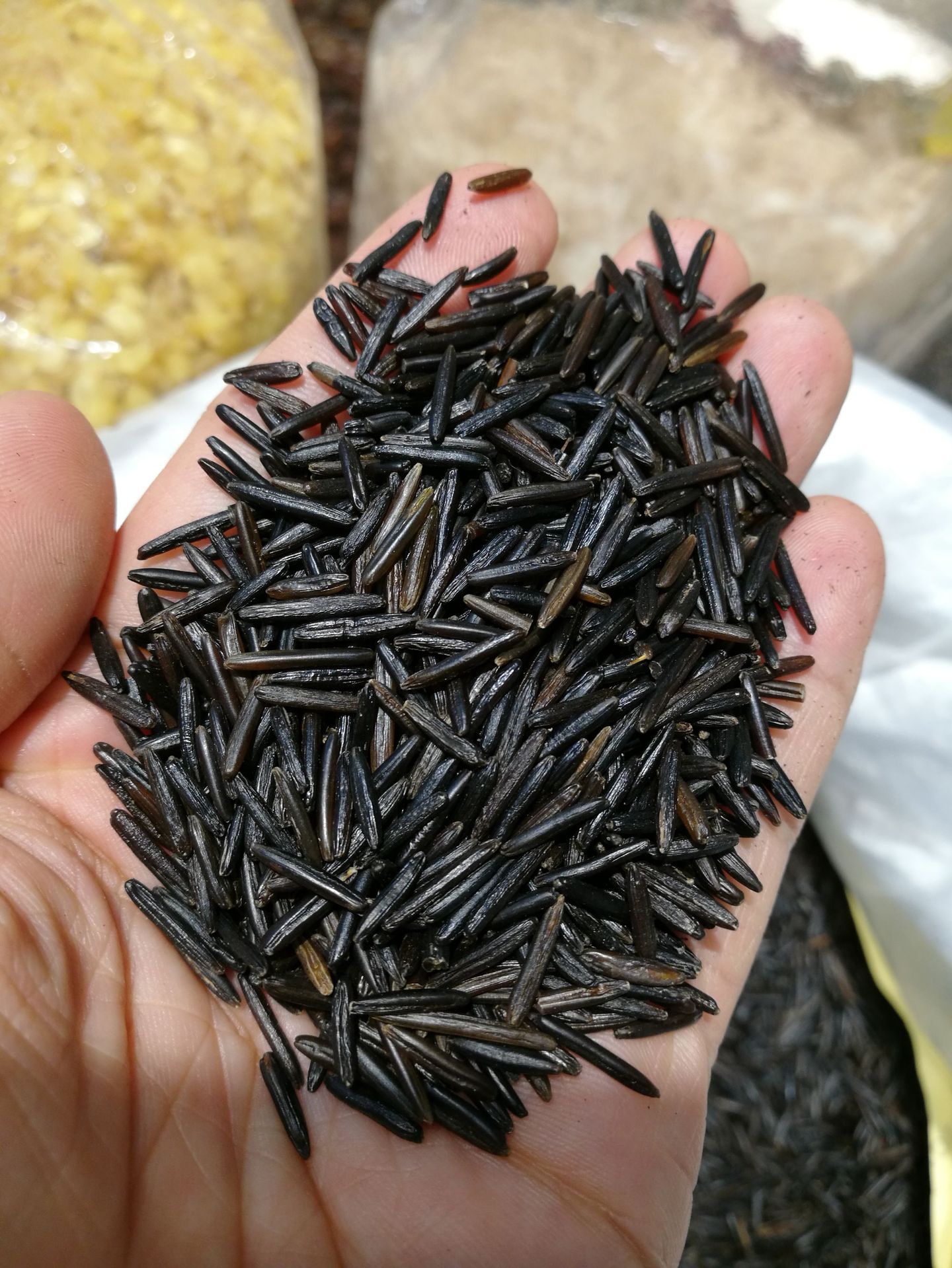 野米 批发加拿大苏比利亚冰湖3号野米菰米野黑米产地直销