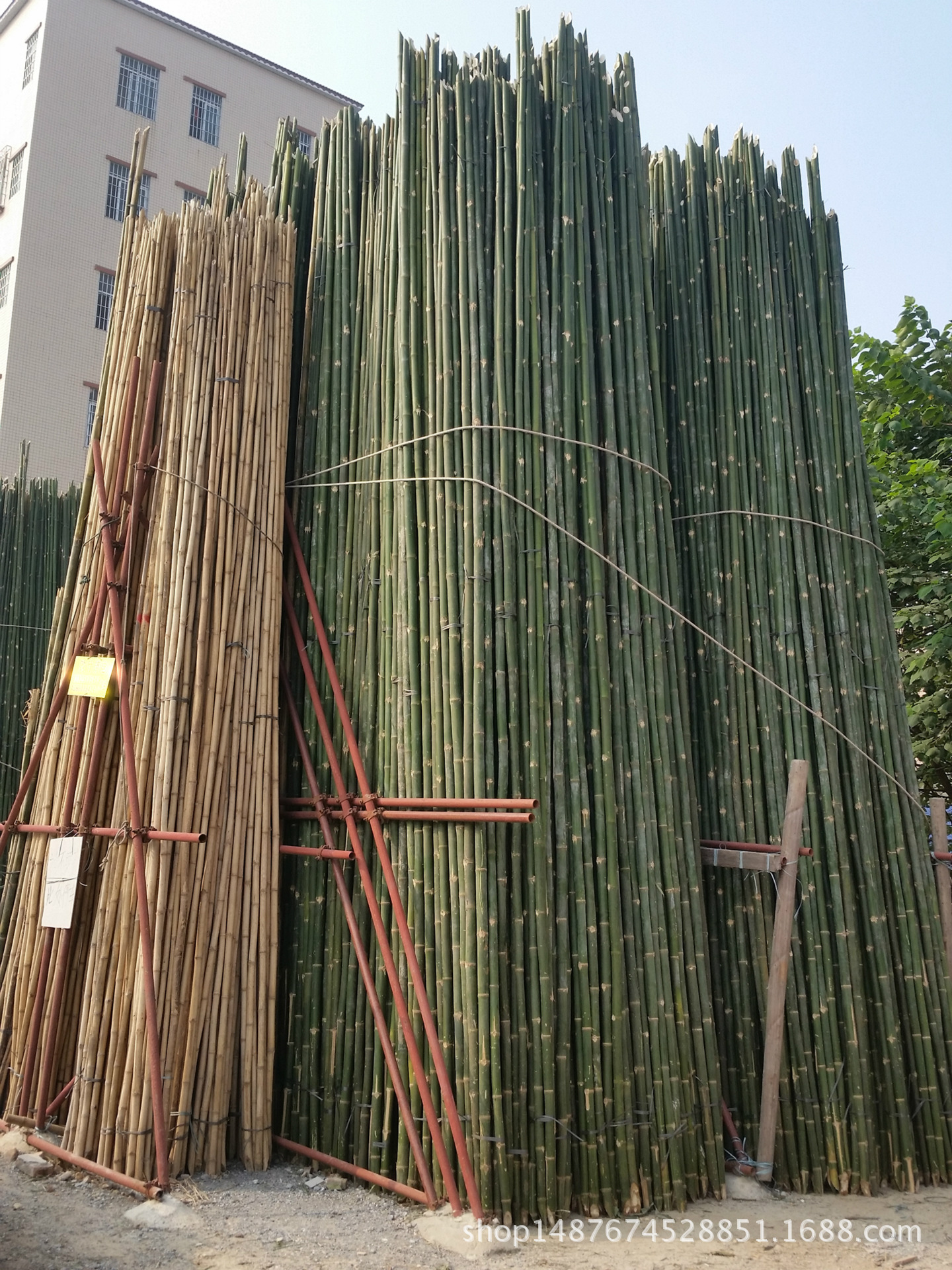 广东汕头汕尾揭阳批发出售 搭棚搭架建筑支撑 篙竹排山竹装修竹竿