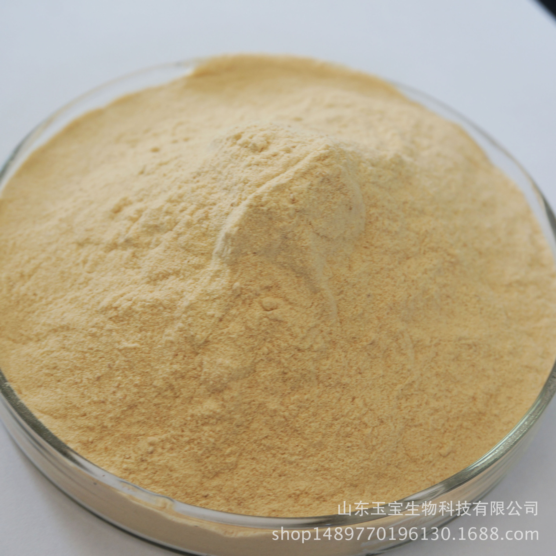 工业植物蛋白胨 发酵原材料 培养基氮源 量大优惠 酶解棉籽蛋白胨