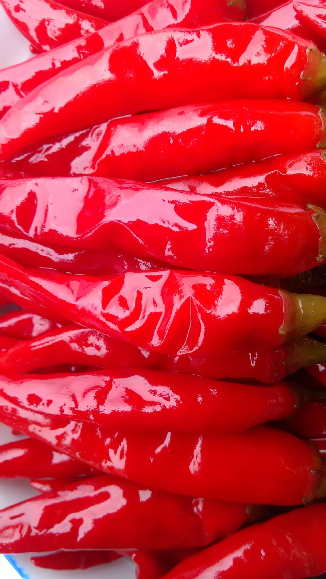 四川泡辣椒泡红小米辣辣椒30kg红小米椒泡菜酱红腌菜散装批发