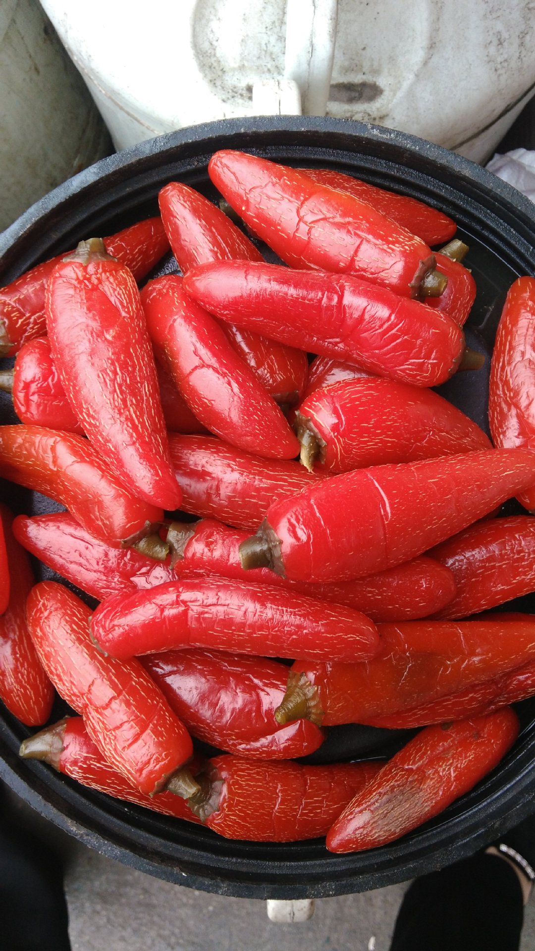 厂家泡椒泡朝天椒30kg红灯笼辣椒餐饮泡红圆辣椒酱腌菜散装批发