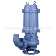 化粪池污水泵 工程专用排污泵200WQ250-40-55 污水处理泵