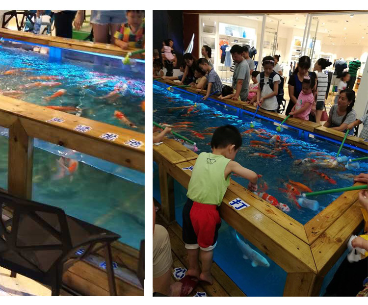 吃奶鱼/奶瓶喂鱼/奶嘴鱼免费加盟/全国发货/喂奶鱼包活/不吃包退