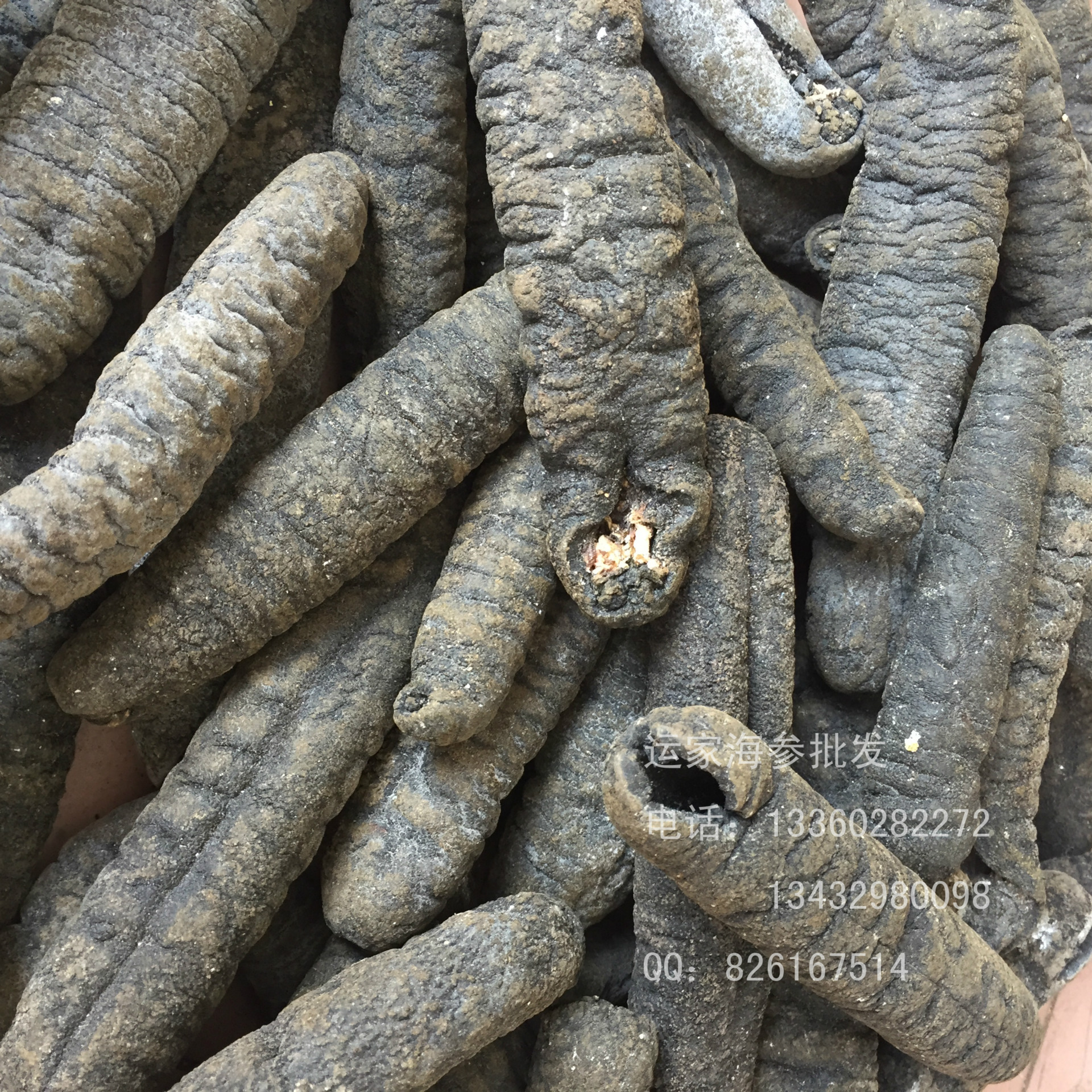 大乌参批发10头淡干 大乌参乌条参身圆肉厚发量高 大黑乌参